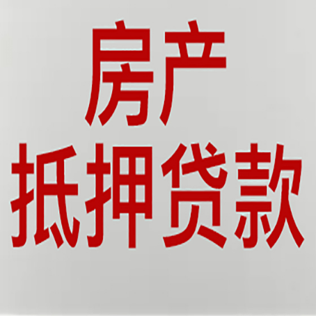 卢龙贷款公司新渝启服推荐选择